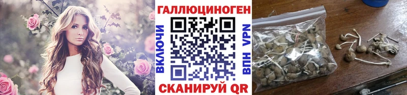 Галлюциногенные грибы GOLDEN TEACHER  Первомайск 